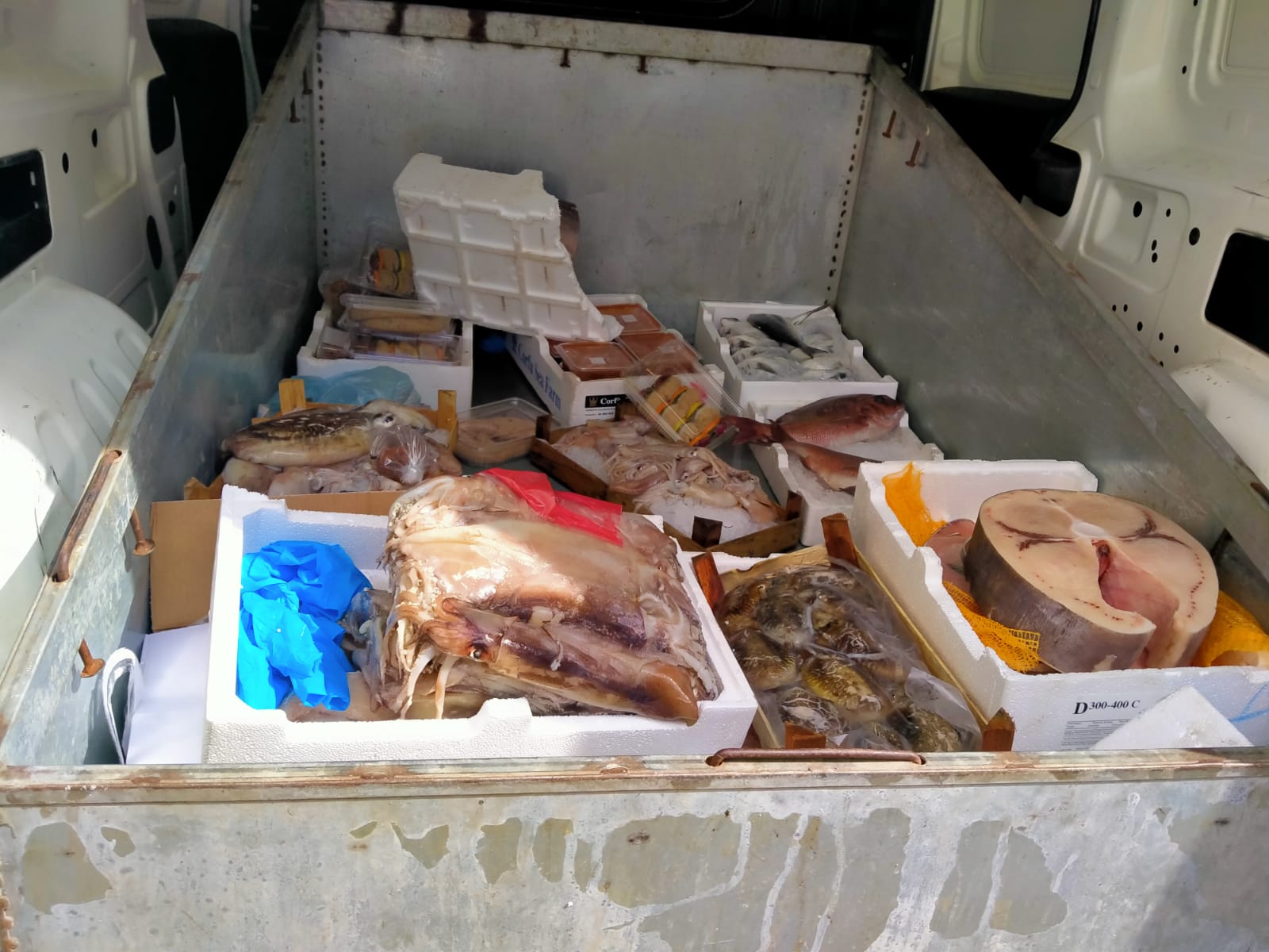 Sequestrati circa 500 kg di prodotti ittici a Palermo