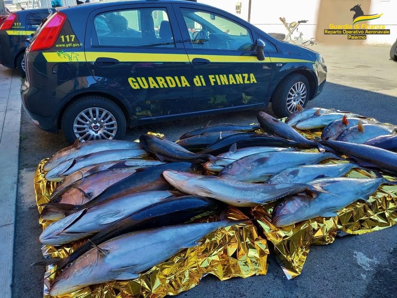 Maxi sequestro di ricciole pescate in area marina protetta a Palermo