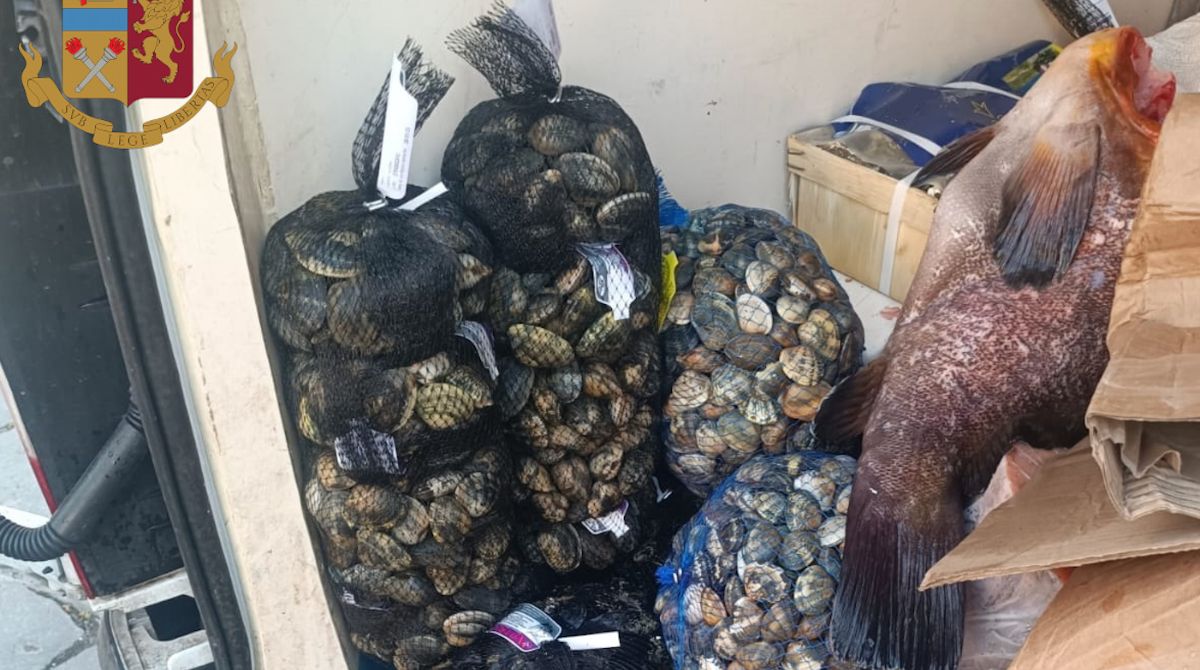 Sequestro di pesce senza tracciabilità a Catania: sanzioni