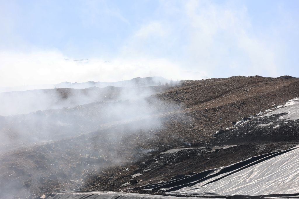 Palermo, ordinanza anti diossina del sindaco Lagalla. “Evitare carne e uova”