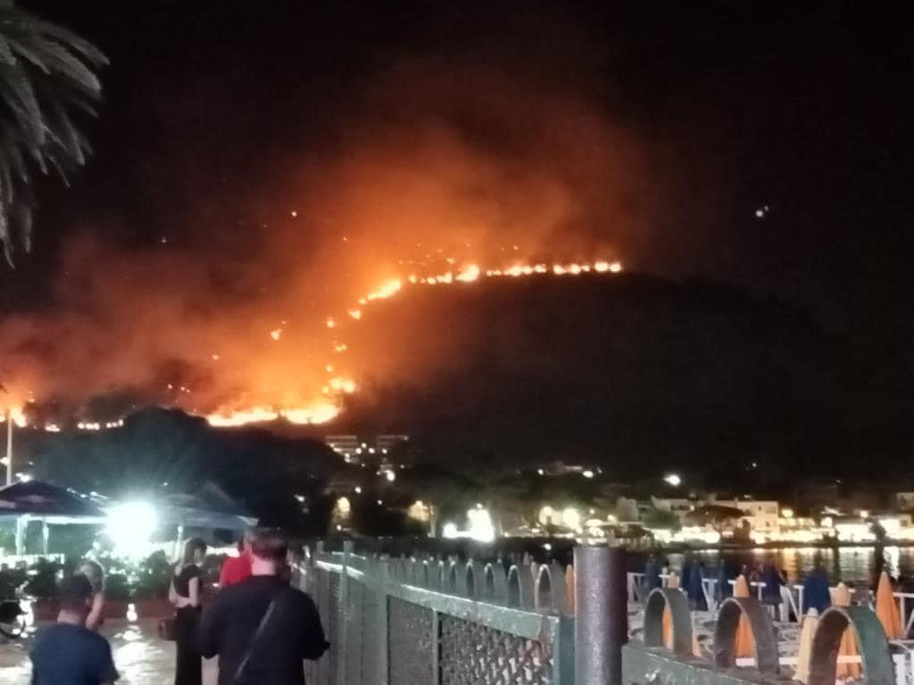Incendi a Palermo, parte la macchina della solidarietà online: centinaia di donazioni 