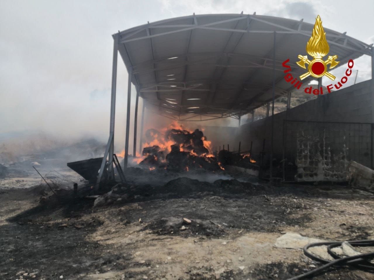 In fiamme stalla a Corleone, strage di bovini