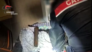 VIBO VALENTIA (ITALPRESS) – Operazione dei Carabinieri di Vibo Valentia, coordinati dalla Direzione...