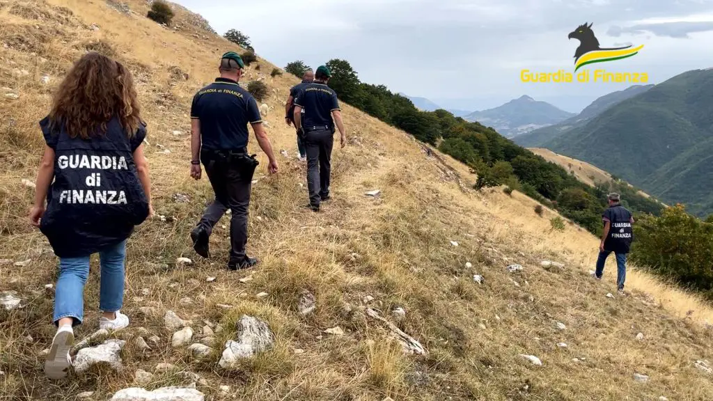 Maxi truffa all’Ue per “pascoli fantasma”, arresti e sequestri