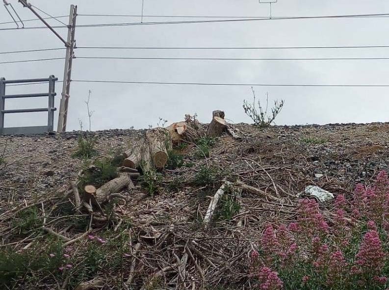 Travolto e ucciso dal treno, rinviato a giudizio responsabile di RFI