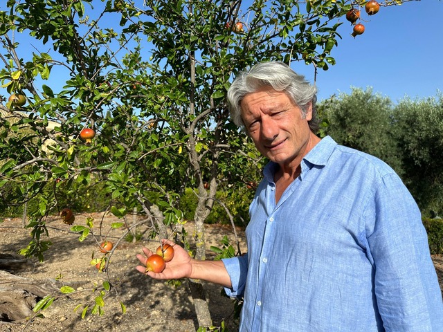 Giornata Mondiale Alimentazione. Agricoltura biologica per ridurre spreco idrico