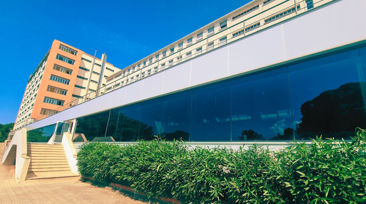 Test per accesso a Medicina, Ersu Palermo organizza un corso