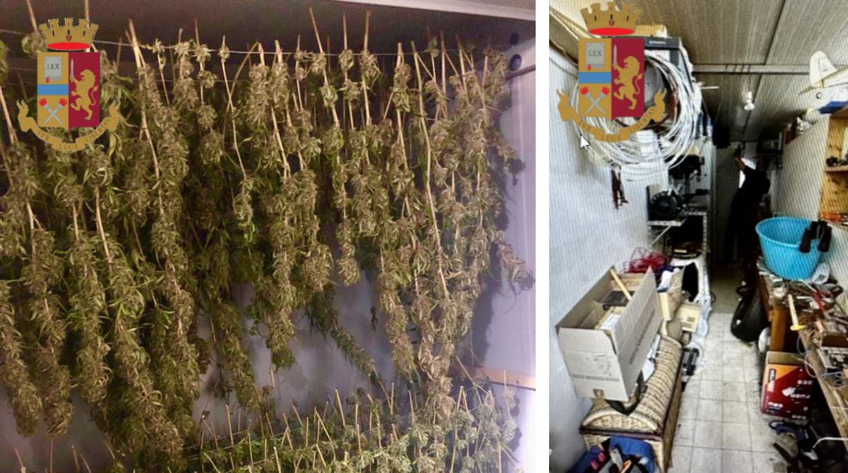 Coltivazione di marijuana in casa a Picanello: arrestato un 48enne