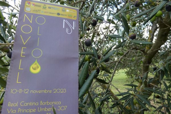 Novell’Olio 2023, buona la settima: alla Real Cantina Borbonica di Partinico l’olio extravergine siciliano protagonista