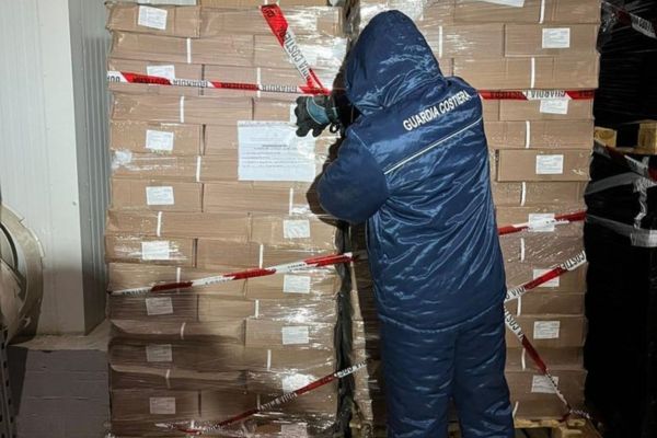 Operazione a tutela della filiera ittica: sequestrati 115 chili di “neonata”