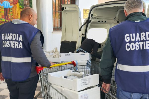 Guardia Costiera di Palermo sequestra mille chili di pesce, sanzioni