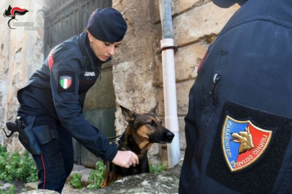 Palermo, 25 chili di droga sequestrati e 6 arresti