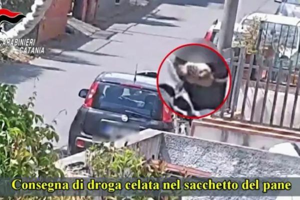Panificio di Catania trasformato in centrale per spaccio cocaina, 9 arresti