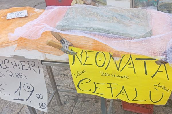Guardia Costiera di Palermo sequestra mille chili di pesce, sanzioni