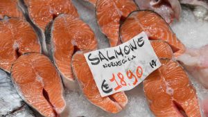 Salmone - fonte_ansa - sicilianews24.it