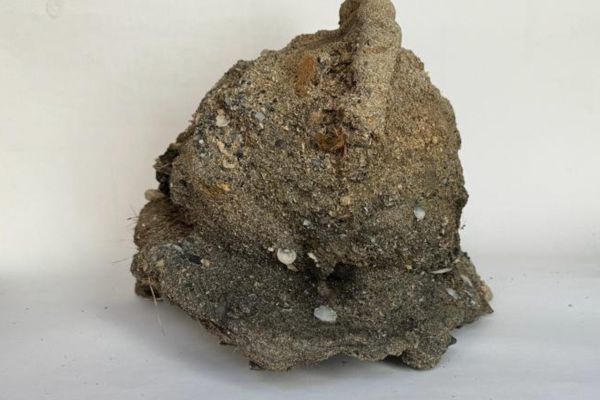 Archeologia, ritrovato a Vendicari elmo del periodo tardo medievale