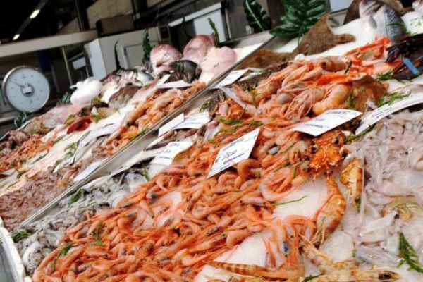 Blitz contro il mercato abusivo del pesce nel Trapanese, multe e sequestri