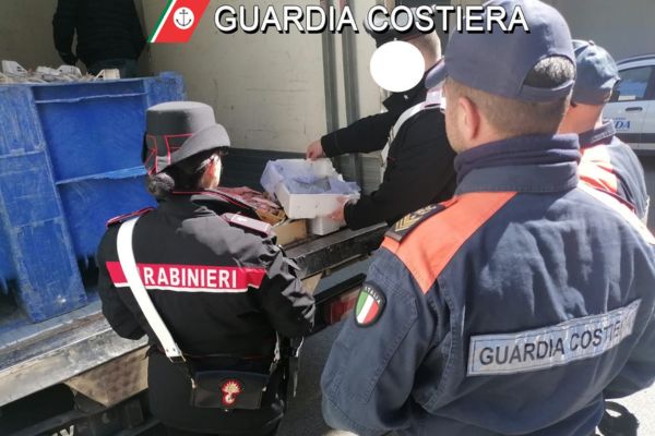 Sequestrate 2,5 tonnellate di prodotto ittico venduto illegalmenete