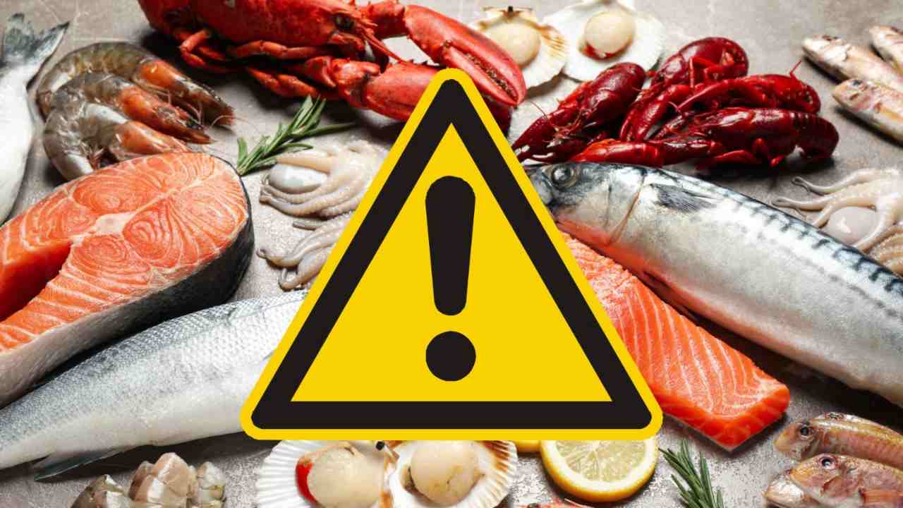 Lo compri e ti ammali di listeria | È il secondo pesce più mangiato in Italia: se contagioso, lo riconosci subito