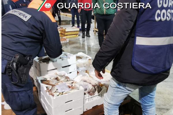 Sequestrati 1.025 chili di pesce al mercato ittico