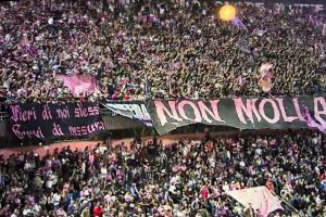 Palermo-Spezia 1-0: decide Segre dopo 11 secondi, record storico al Barbera