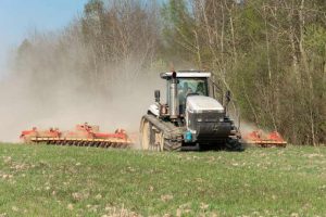 Bonus fedina penale pulita