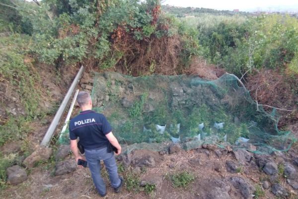 Trovata piantagione di droga ad Adrano: arrestati due giovani