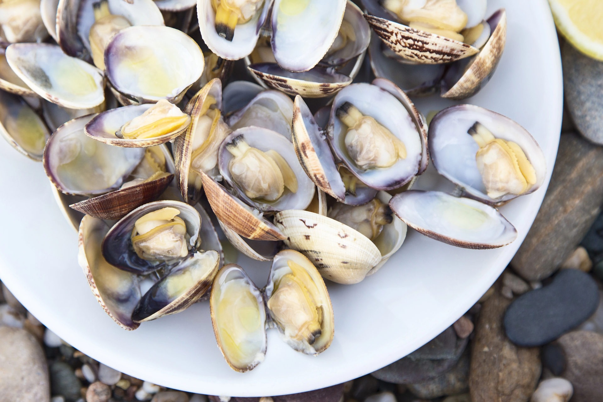 Richiamo di vongole con biotossine: attenzione a micotossine e liquirizia in polvere.