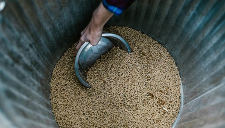 Pellet, come riconoscere quelloscadente - fonte pexels - sicilianews24.it