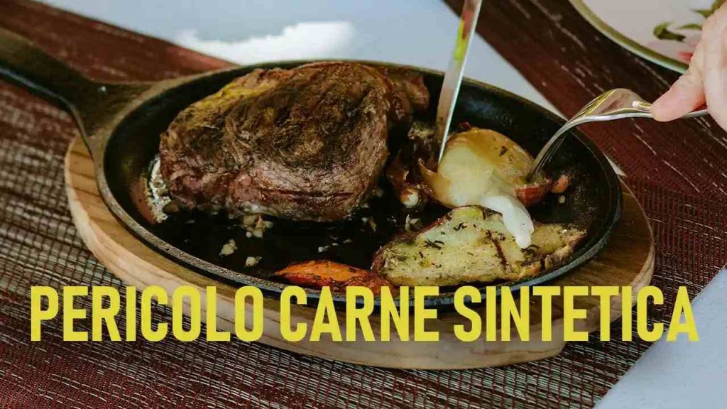 Carne Sintetica: dicono che é sana e sicura eppure ci sono 53 pericoli in agguato | Lo studio parla chiaro