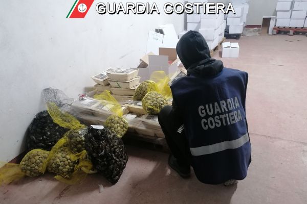Sequestrate 12 tollettate di prodotto ittico non sicuro