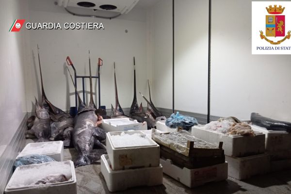 Sequestrati circa 500 Kg di prodotto ittico conservato in un magazzino a Brancaccio