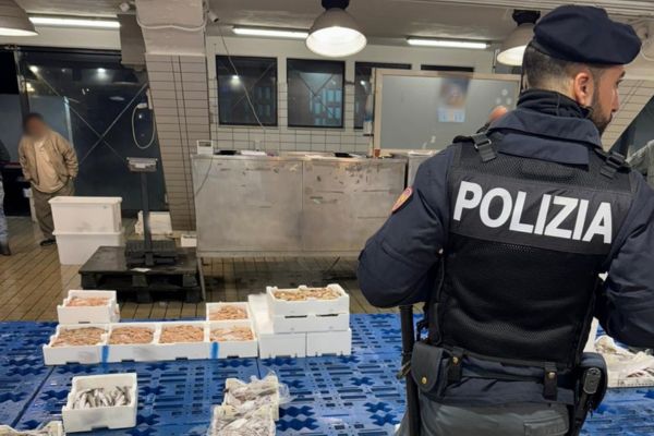 Operazione al mercato del pesce di Acitrezza, sequestrati 170 chili di prodotti ittici