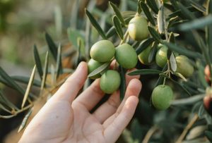 Crisi in Medio Oriente e mercati instabili: export siciliano in calo del 25%