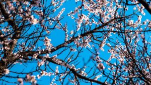 Meteo Sicilia di giovedì 19 marzo 2026: previsioni provincia per provincia