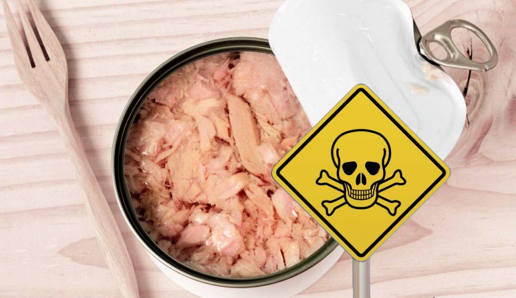 La Sicilia ha vietato per sempre il tonno: sparisce per sempre dalle nostre diete | Ufficiale l’esecutivo