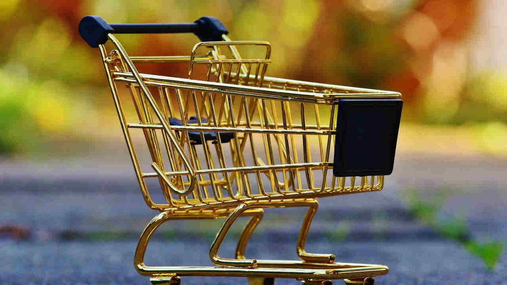 Ultim’ora: ecco il Bonus Carrello approvato dal Governo Italiano | 300€ per riempirtelo come vuoi