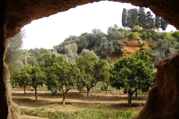 Giornate FAI, al Giardino della Kolymbethra, Parco della Valle dei Templi (AG)