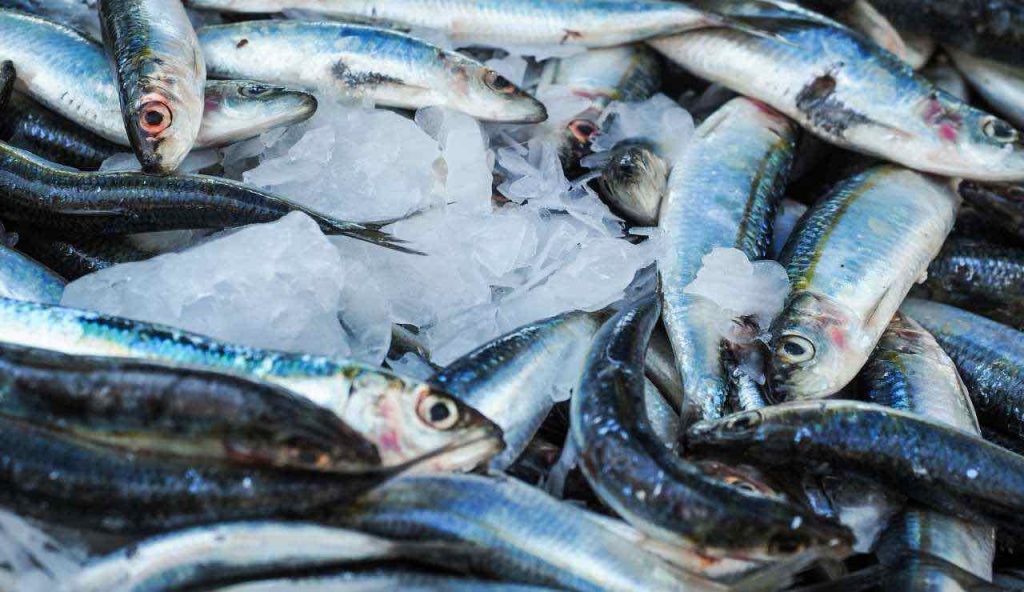 Attenzione, “Il pesce più amato dai siciliani provoca tumori e danni al fegato”: lo amate ma dovete smettere in questo momento di mangiarlo