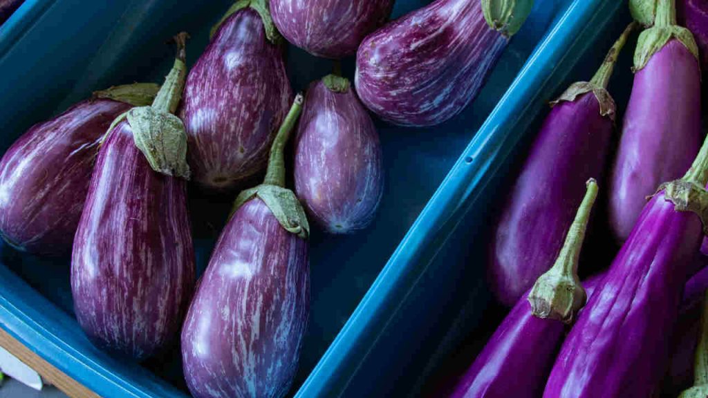 Pasta alla norma, basta aggiungerne un pizzico e diventa degna di uno chef stellato: all’ingrediente segreto nessuno ci pensa mai