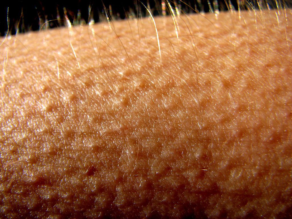 Potenzia la tua carriera con questi 5 programmi di bellezza specializzati.