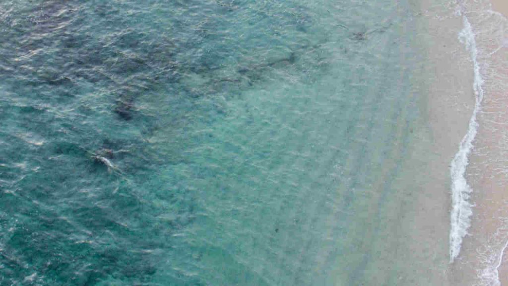 Ultim’ora Sicilia, allarme tsunami: “Onda anomala in arrivo” | Chi abita qui deve mettersi al riparo subito