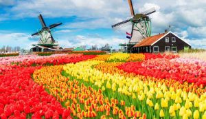 Olanda - fonte_Canva - Sicilianews24.it