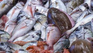 Pesce - fonte_Canva - Sicilianews24.it