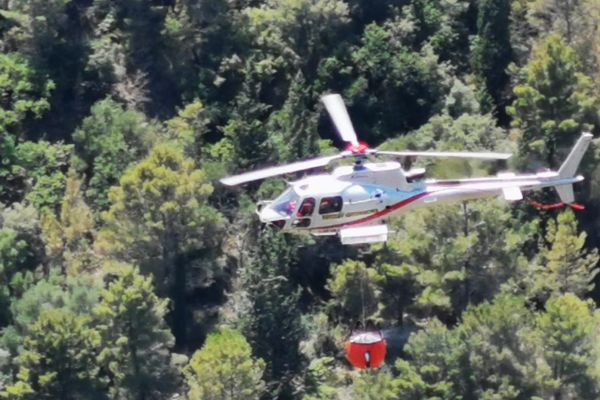 Roghi, il Corpo Forestale ne rileva 3.757 nell’isola dal 15 maggio ad oggi