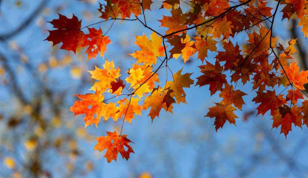 Sicilia, “Stop all’autunno, appena iniziato deve finire già”: passato il ‘decreto’ | Allungata l’estate di un mese