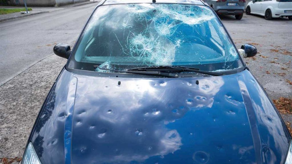 Attenzione, “Sta invadendo la regione il ‘killer delle auto'”: è il più aggressivo che esista | Dovete scappare se lo vedete