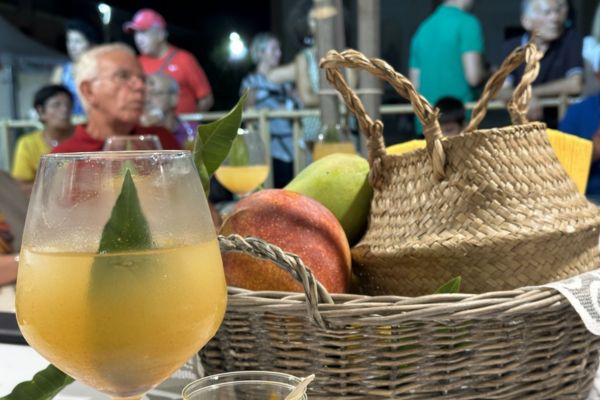 Balestrate punta a diventare la capitale nazionale dei frutti tropicali: “Qui grandi opportunità per i giovani che vogliono scommettere sulla propria terra”