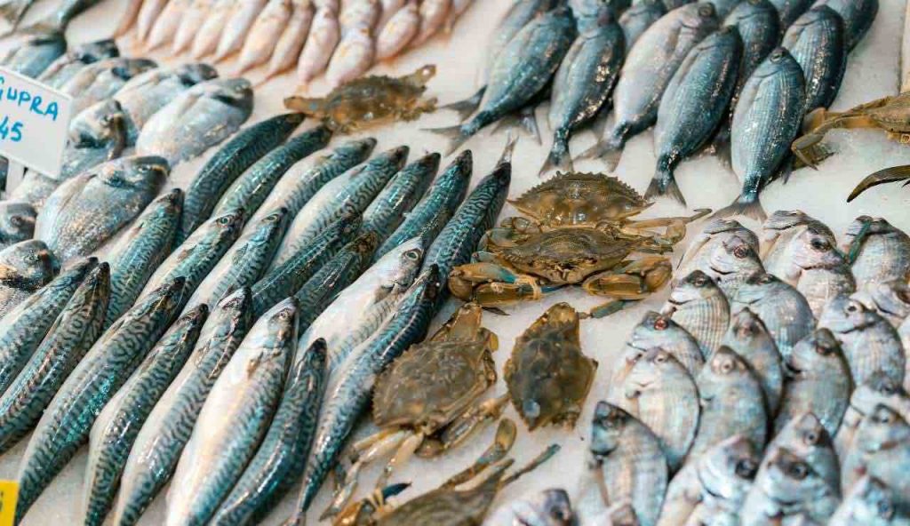 Allarme Sicilia, “Il pesce che amate di più è contaminato”: smettete di mangiarlo prima che sia troppo tardi