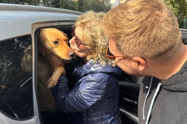 Palermo, vedova vive in auto da due mesi: “Non lascio il mio cane, è la mia famiglia”